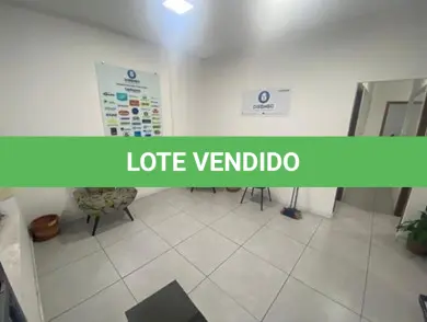 LOTE 003 - 2 poltronas estampadas