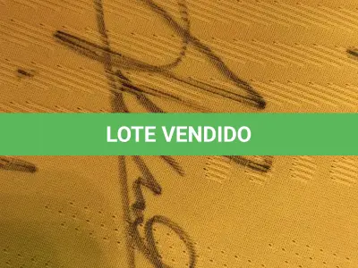 LOTE 001 - CAMPANHA DE DOAÇÃO - LEILÃO DE CAMISA DO JOGADOR TIAGO SILVA DA SELEÇÃO BRASILEIRA AUTOGRAFADA POR TODOS OS JOGADORES - CAMISA COM O LEILOEIRO A DISPOSIÇÃO PARA VISITAÇÃO - AJUDAR ESSA NOBRE CAUSA NÃO TEM PREÇO - PARA CADASTRO RÁPIDO CONTATE O LEILOEIRO 51.991165051