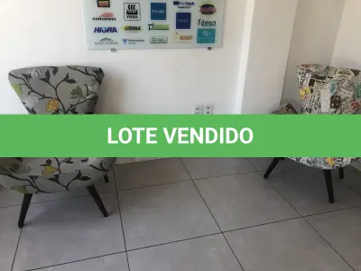 LOTE 003 - 2 poltronas estampadas