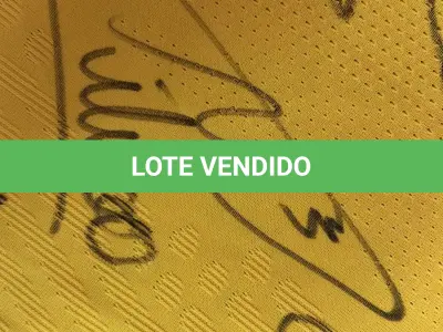 LOTE 001 - CAMPANHA DE DOAÇÃO - LEILÃO DE CAMISA DO JOGADOR TIAGO SILVA DA SELEÇÃO BRASILEIRA AUTOGRAFADA POR TODOS OS JOGADORES - CAMISA COM O LEILOEIRO A DISPOSIÇÃO PARA VISITAÇÃO - AJUDAR ESSA NOBRE CAUSA NÃO TEM PREÇO - PARA CADASTRO RÁPIDO CONTATE O LEILOEIRO 51.991165051