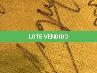 LOTE 001 - CAMPANHA DE DOAÇÃO - LEILÃO DE CAMISA DO JOGADOR TIAGO SILVA DA SELEÇÃO BRASILEIRA AUTOGRAFADA POR TODOS OS JOGADORES - CAMISA COM O LEILOEIRO A DISPOSIÇÃO PARA VISITAÇÃO - AJUDAR ESSA NOBRE CAUSA NÃO TEM PREÇO - PARA CADASTRO RÁPIDO CONTATE O LEILOEIRO 51.991165051