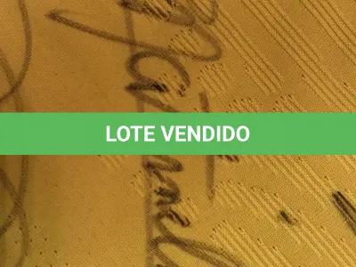 LOTE 001 - CAMPANHA DE DOAÇÃO - LEILÃO DE CAMISA DO JOGADOR TIAGO SILVA DA SELEÇÃO BRASILEIRA AUTOGRAFADA POR TODOS OS JOGADORES - CAMISA COM O LEILOEIRO A DISPOSIÇÃO PARA VISITAÇÃO - AJUDAR ESSA NOBRE CAUSA NÃO TEM PREÇO - PARA CADASTRO RÁPIDO CONTATE O LEILOEIRO 51.991165051