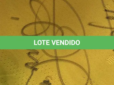 LOTE 001 - CAMPANHA DE DOAÇÃO - LEILÃO DE CAMISA DO JOGADOR TIAGO SILVA DA SELEÇÃO BRASILEIRA AUTOGRAFADA POR TODOS OS JOGADORES - CAMISA COM O LEILOEIRO A DISPOSIÇÃO PARA VISITAÇÃO - AJUDAR ESSA NOBRE CAUSA NÃO TEM PREÇO - PARA CADASTRO RÁPIDO CONTATE O LEILOEIRO 51.991165051