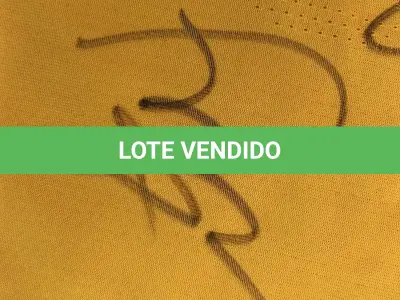 LOTE 001 - CAMPANHA DE DOAÇÃO - LEILÃO DE CAMISA DO JOGADOR TIAGO SILVA DA SELEÇÃO BRASILEIRA AUTOGRAFADA POR TODOS OS JOGADORES - CAMISA COM O LEILOEIRO A DISPOSIÇÃO PARA VISITAÇÃO - AJUDAR ESSA NOBRE CAUSA NÃO TEM PREÇO - PARA CADASTRO RÁPIDO CONTATE O LEILOEIRO 51.991165051