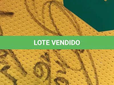LOTE 001 - CAMPANHA DE DOAÇÃO - LEILÃO DE CAMISA DO JOGADOR TIAGO SILVA DA SELEÇÃO BRASILEIRA AUTOGRAFADA POR TODOS OS JOGADORES - CAMISA COM O LEILOEIRO A DISPOSIÇÃO PARA VISITAÇÃO - AJUDAR ESSA NOBRE CAUSA NÃO TEM PREÇO - PARA CADASTRO RÁPIDO CONTATE O LEILOEIRO 51.991165051
