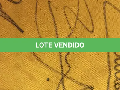 LOTE 001 - CAMPANHA DE DOAÇÃO - LEILÃO DE CAMISA DO JOGADOR TIAGO SILVA DA SELEÇÃO BRASILEIRA AUTOGRAFADA POR TODOS OS JOGADORES - CAMISA COM O LEILOEIRO A DISPOSIÇÃO PARA VISITAÇÃO - AJUDAR ESSA NOBRE CAUSA NÃO TEM PREÇO - PARA CADASTRO RÁPIDO CONTATE O LEILOEIRO 51.991165051