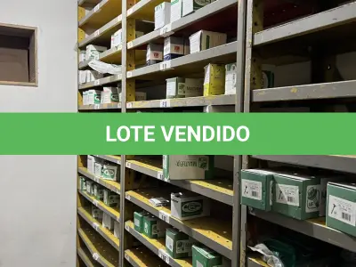 LOTE 001 - LOTE ENGLOBADO DOS LOTES 01 A 81 E 83 OBS: ESSE LOTE POSSUI A PREFERENCIA SOBRE OS INDIVUDUAIS