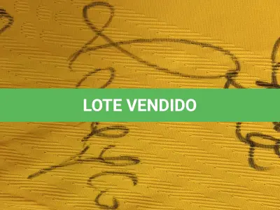 LOTE 001 - CAMPANHA DE DOAÇÃO - LEILÃO DE CAMISA DO JOGADOR TIAGO SILVA DA SELEÇÃO BRASILEIRA AUTOGRAFADA POR TODOS OS JOGADORES - CAMISA COM O LEILOEIRO A DISPOSIÇÃO PARA VISITAÇÃO - AJUDAR ESSA NOBRE CAUSA NÃO TEM PREÇO - PARA CADASTRO RÁPIDO CONTATE O LEILOEIRO 51.991165051