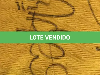 LOTE 001 - CAMPANHA DE DOAÇÃO - LEILÃO DE CAMISA DO JOGADOR TIAGO SILVA DA SELEÇÃO BRASILEIRA AUTOGRAFADA POR TODOS OS JOGADORES - CAMISA COM O LEILOEIRO A DISPOSIÇÃO PARA VISITAÇÃO - AJUDAR ESSA NOBRE CAUSA NÃO TEM PREÇO - PARA CADASTRO RÁPIDO CONTATE O LEILOEIRO 51.991165051
