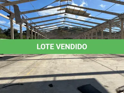 LOTE 001 - GRANDE IMÓVEL EM FLORES DA CUNHA 102.800M2 - ESTRUTURA DE PAVILHAO 11.811M2