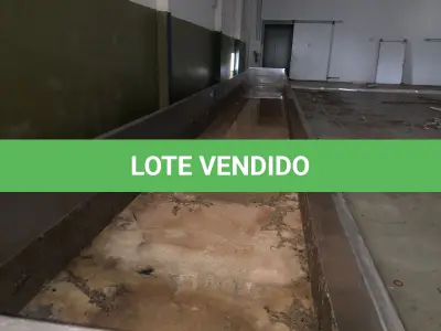 LOTE 000 - SILOS DE INOX – CALDEIRAS – TANQUES 100MIL L – BALANÇA RODOVIÁRIA – RESERVATÓRIO DE ÁGUA – UNO MILLE 95/96
