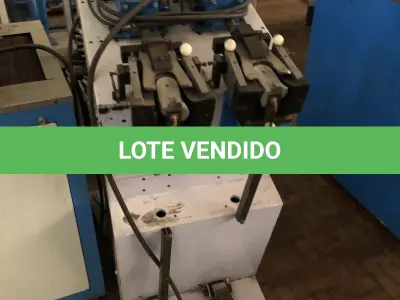 LOTE 002 - LOTE ENGLOBADO DE TODOS OS BENS NO PAVILHAO DO ALMOXARIFADO E PAVILHAO DEPOSITO  (TELHADO COM PROBLEMAS)