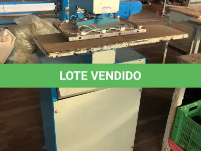 LOTE 196 - Prensa quente chapa grande