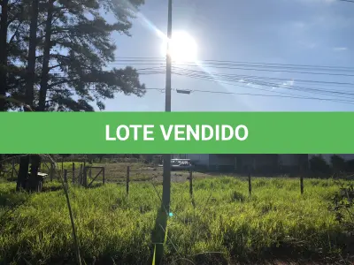 LOTE 001 - 15.000m2 FRENTE BR116 EM GUAIBA - PAVILHÃO E ESTRUTURA PARA  BENEFICIAMENTO DE GRÃOS