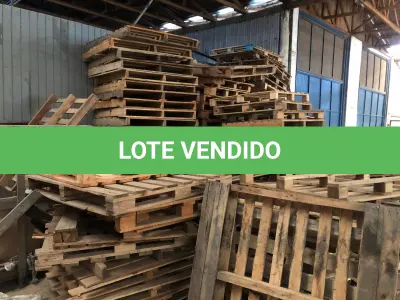 LOTE 001 - LOTE DE PALLETS DE MADEIRA