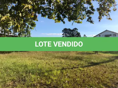 LOTE 001 - 15.000m2 FRENTE BR116 EM GUAIBA - PAVILHÃO E ESTRUTURA PARA  BENEFICIAMENTO DE GRÃOS