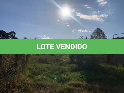 LOTE 001 - 15.000m2 FRENTE BR116 EM GUAIBA - PAVILHÃO E ESTRUTURA PARA  BENEFICIAMENTO DE GRÃOS
