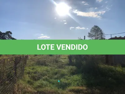LOTE 001 - 15.000m2 FRENTE BR116 EM GUAIBA - PAVILHÃO E ESTRUTURA PARA  BENEFICIAMENTO DE GRÃOS