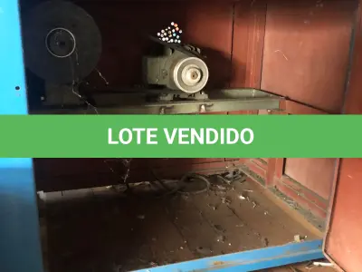 LOTE 175 - Esteira com cabeceiras