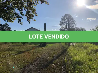 LOTE 001 - 15.000m2 FRENTE BR116 EM GUAIBA - PAVILHÃO E ESTRUTURA PARA  BENEFICIAMENTO DE GRÃOS