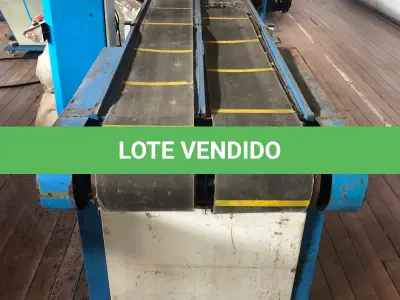 LOTE 210 - Esteira com cabeceiras
