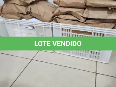 LOTE 113 - LOTE DE CAIXAS PLÁSTICO