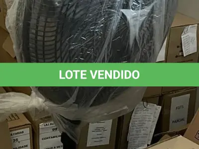 LOTE 117 - VENTILADOR DE COLUNA, BRITANIA