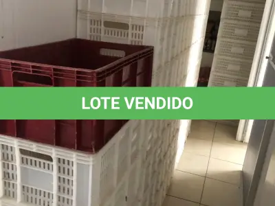 LOTE 245 - 83 CAIXAS PLÁSTICAS AÇOUGUE