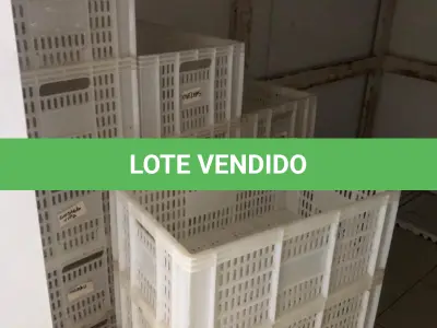 LOTE 245 - 83 CAIXAS PLÁSTICAS AÇOUGUE