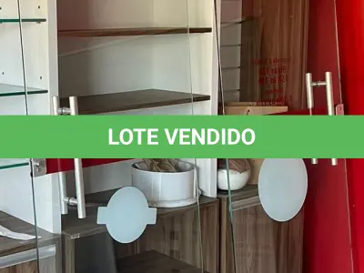 LOTE 220 - 2 PORTAS DE VIDRO PIVOTANTE