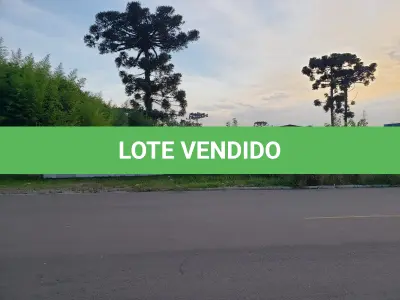 LOTE 000 - O imóvel constituído pela área de 4.816,82metros2, localizado na ¨cidade Industrial de Curitiba