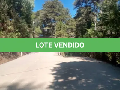LOTE 001 - GRANDE ÁREA 1.101.671M2 EM CAMPOS DO JORDÃO / SP – COM BASTANTE ÁREA VERDE