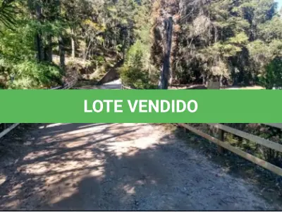 LOTE 001 - GRANDE ÁREA 1.101.671M2 EM CAMPOS DO JORDÃO / SP – COM BASTANTE ÁREA VERDE