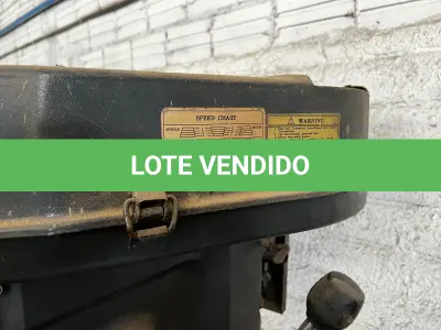 LOTE 087 - Furadeira de bancada Strong