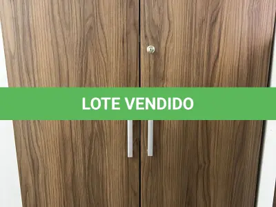 LOTE 029 - Armário 2 portas  