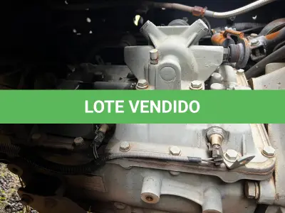 LOTE 001 - VolksWagen 17-250 E Consteletion