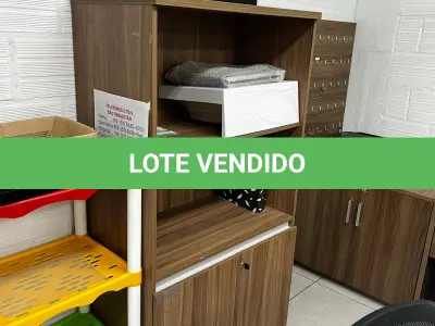 LOTE 014 - Armário com 2 portas 