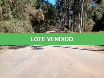 LOTE 001 - GRANDE ÁREA 1.101.671M2 EM CAMPOS DO JORDÃO / SP – COM BASTANTE ÁREA VERDE
