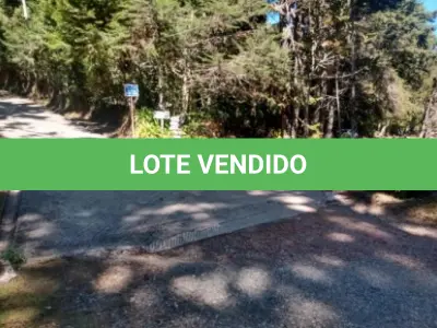 LOTE 001 - GRANDE ÁREA 1.101.671M2 EM CAMPOS DO JORDÃO / SP – COM BASTANTE ÁREA VERDE