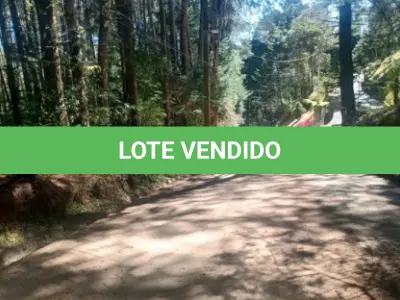 LOTE 001 - GRANDE ÁREA 1.101.671M2 EM CAMPOS DO JORDÃO / SP – COM BASTANTE ÁREA VERDE