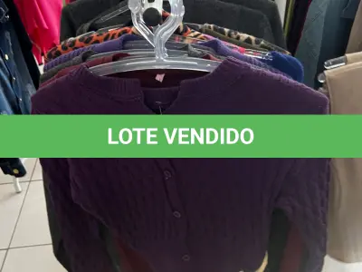LOTE 000 - Lote com aproximadamente 3.500 peças de roupas e seus cabides (toda a loja): vestidos, saias, moletons, casacos, bermudas, calças, camisetas