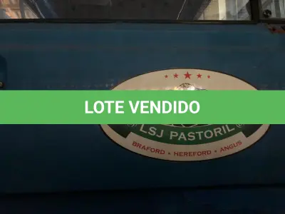 LOTE 003 - CAMINHÃO VW 14-210, TRUCK, AZUL, ANO 1988, PLACAS IIA 4I98, C/ CAÇAMBA GRANELEIRA