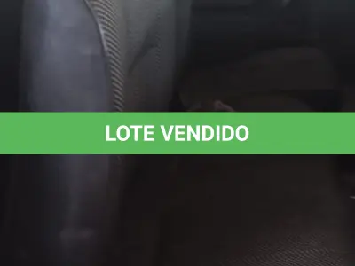 LOTE 007 - CAMINHONETE D20