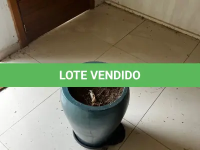 LOTE 001 - O imóvel localizado na Linha São Jacó, em Teutônia/RS. Sendo um área de terras com a superfície de 8.500m²