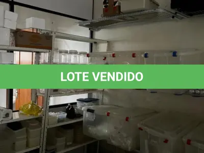 LOTE 000 - FARMACIA DE MANIPULAÇÃO COMPLETA