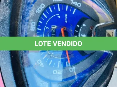 LOTE 003 - HONDA/BIZ 125 ES FLEX, fabricação/modelo 2013/2013