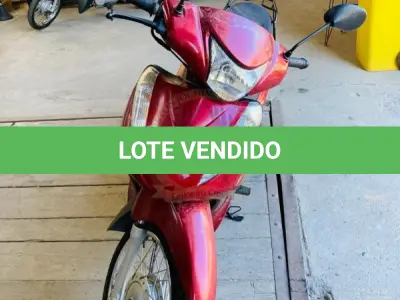 LOTE 003 - HONDA/BIZ 125 ES FLEX, fabricação/modelo 2013/2013