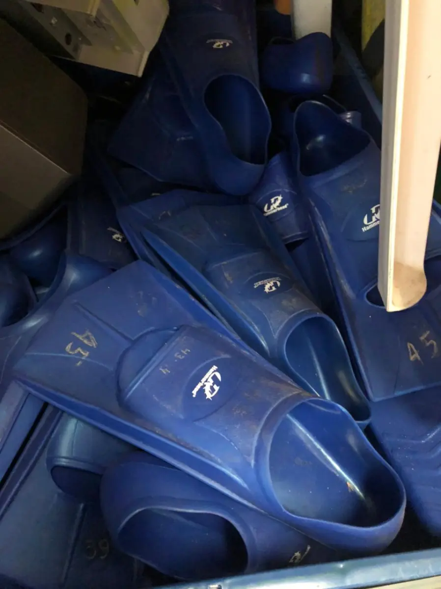 LOTE 085 - Aproximadamente 30 pés de pato hammerhead (par)