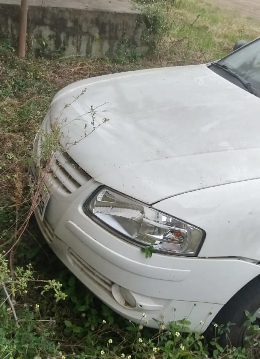 LOTE 1 - LOTE ENGLOBADO DE TODOS LOTES DO LEILÃO