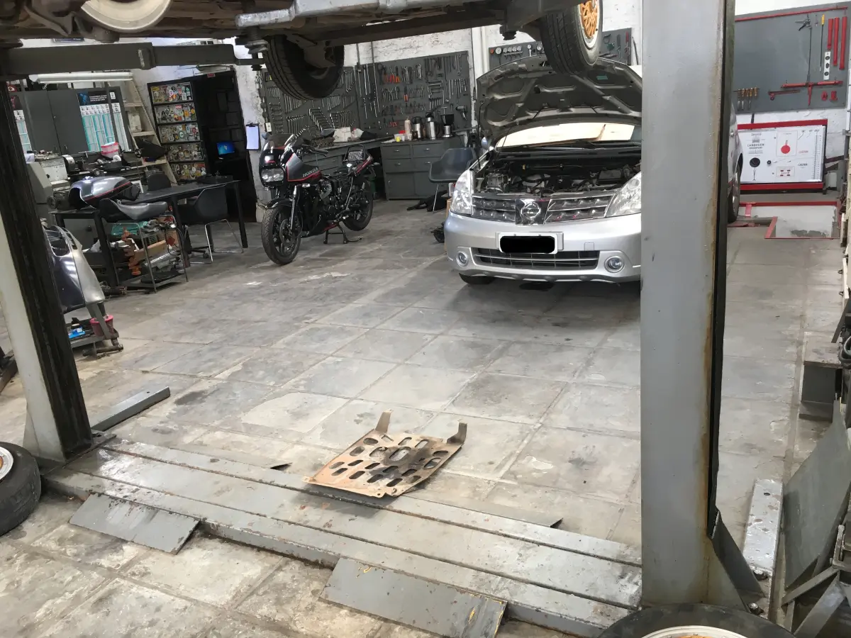 LOTE 02 - elevacar marca Coester